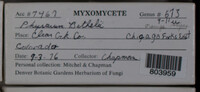 Image Associated With the Occurence